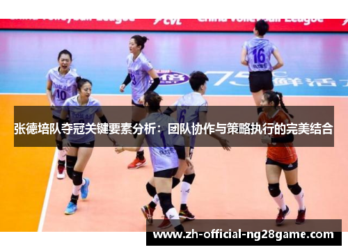 张德培队夺冠关键要素分析：团队协作与策略执行的完美结合