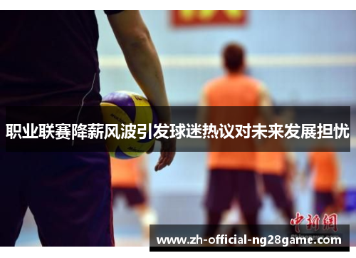 职业联赛降薪风波引发球迷热议对未来发展担忧