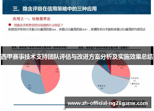 西甲赛事技术支持团队评估与改进方案分析及实施效果总结