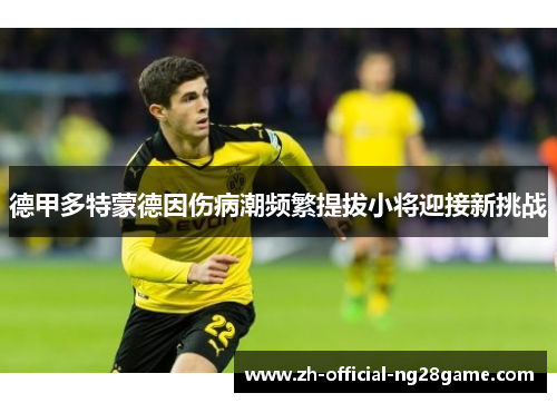 德甲多特蒙德因伤病潮频繁提拔小将迎接新挑战 德甲多特蒙德因伤病潮频繁提拔小将迎接新挑战