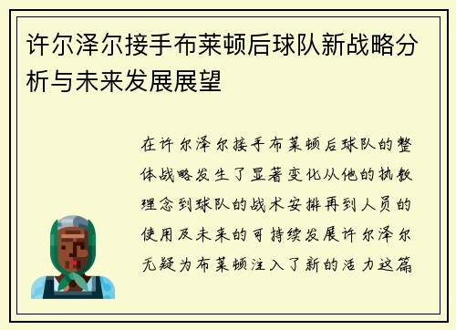 许尔泽尔接手布莱顿后球队新战略分析与未来发展展望 许尔泽尔接手布莱顿后球队新战略分析与未来发展展望